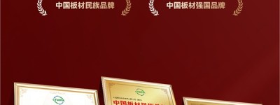 国字号双誉加冕！鹏鸿以生态板为基，多元产品矩阵领跑全国市场