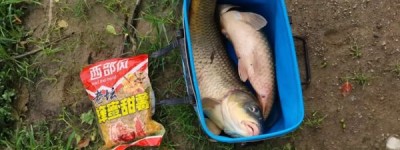 老坛蜂蜜甜薯换大鲤